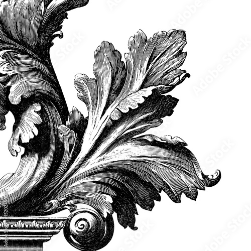 Vintage engraved emblem design featuring ornate leaves and intricate details for a timeless collection