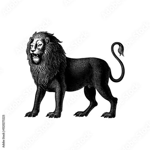 Vintage engraved illustration of a regal lion showcasing majestic features and intricate detailing perfect for design enthusiasts