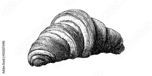 Vintage engraved illustration of a beautifully detailed croissant showcasing artistry from a classic collection