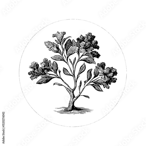 Engraved vintage emblem featuring a detailed botanical design with a flowering plant showcasing artistic craftsmanship