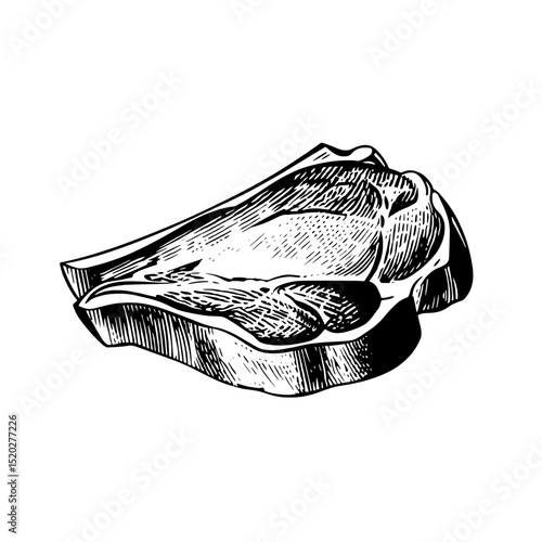 Vintage engraved illustration of a steak showcasing fine details and craftsmanship in a classic design style