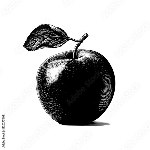 Engraved vintage apple design showcasing natural beauty and intricate details of this timeless fruit