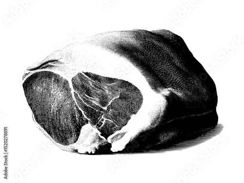 Intricate vintage engraved illustration of a meat cut showcasing detailed textures and shapes in a classic design