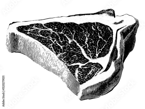 Vintage engraved illustration of a delicious beef steak, showcasing intricate details and textures from a classic collection