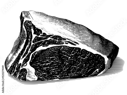 Engraved vintage collection of a juicy ribeye steak illustration in detailed design style