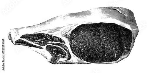 Vintage engraved illustration showcasing a detailed meat cut against a blank background