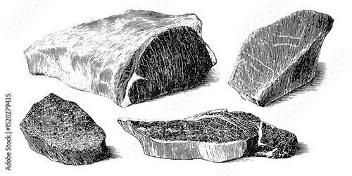 Exploration of vintage engraved illustrations showcasing a collection of distinctive stones and minerals from a bygone era