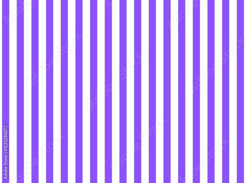 Bright purple  color and white color background with lines. traditional vertical striped background texture. 
