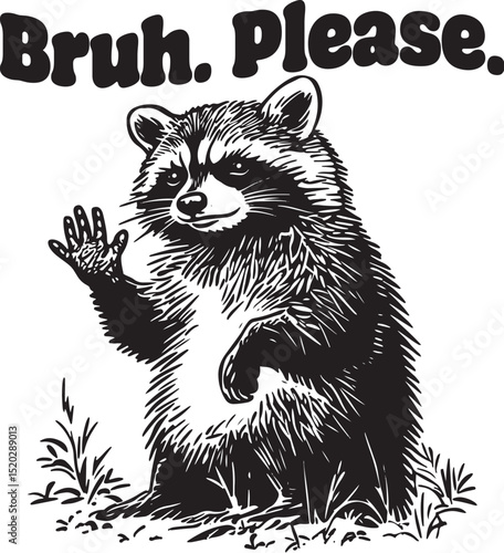 vector illustration of cartoon Raccoon