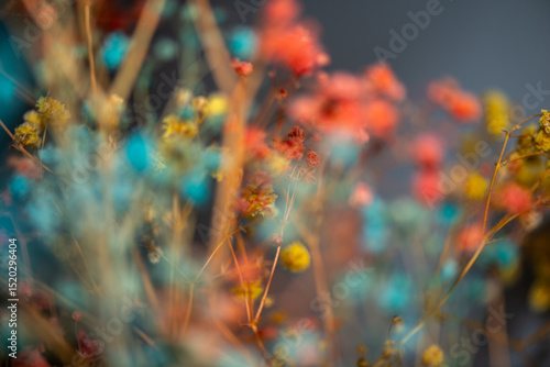 Macro Photo of Coral Bells Flowers as Background Wallpaper