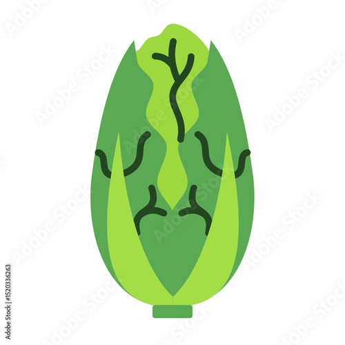 napa cabbage icon	