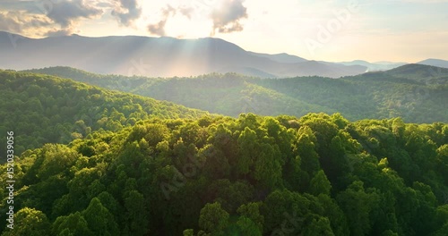 Mount Mitchell landscape. Bright sunrise in North Carolina Appalachian mountains in summer season. Summertime landscape of beautiful nature