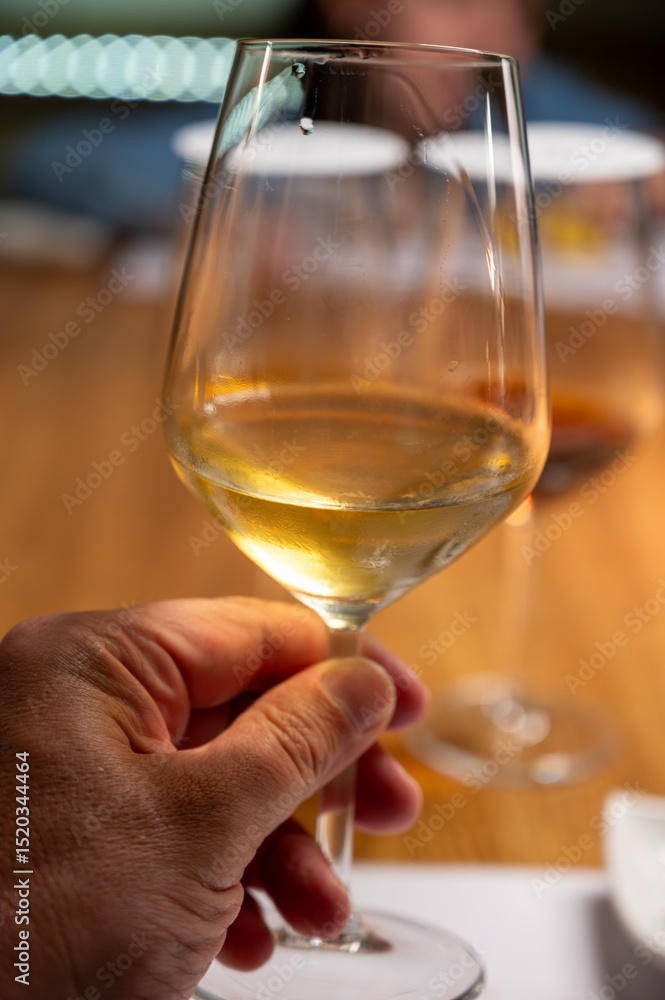 Obraz premium Visit of wine cellar with old large oak barrels, tasting of fortified dry or sweet tasty marsala wine in Marsala, Sicily, Italy