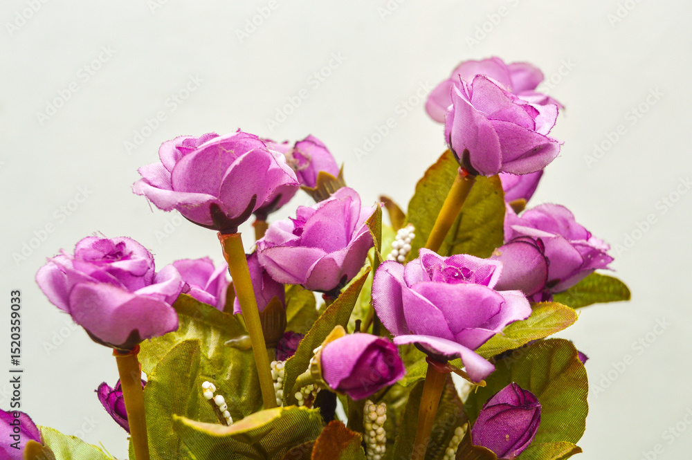 Obraz premium close up of a bouquet of fragrant and beautiful roses with attractive soft colors