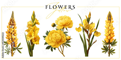 Yellow  flowers isolated on a white background. Vintage painting style illustration.
