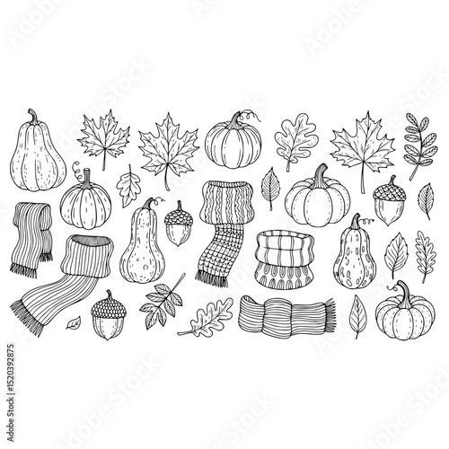 Autumn pumpkins leaves acorns and scarfs doodle sketch for fall season vector design background illustration