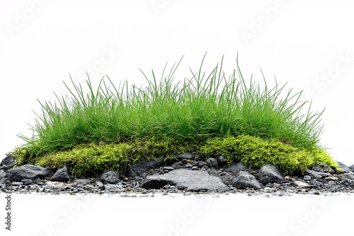 Green Grass and Natural Landscape. Ecology and Biodiversity in Springtime