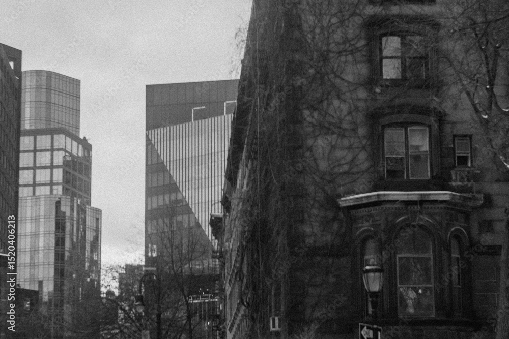 Fototapeta premium new york city