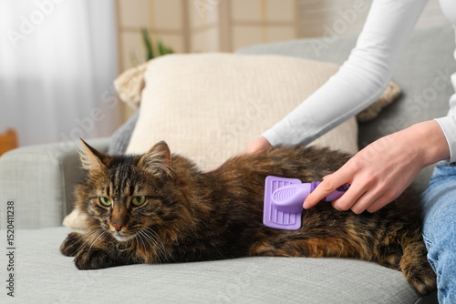 Young woman brushing fluffy...