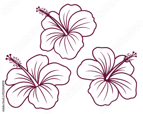 Three elegant outlined hibiscus flowers with delicate petals and intricate stamens on a white background.