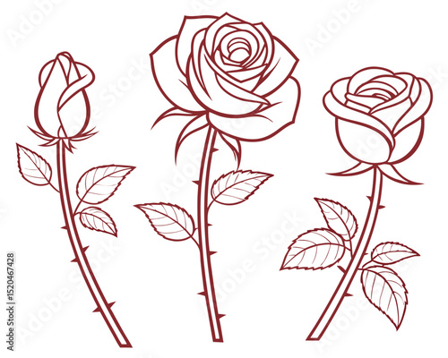 Elegant outlines of three rose flowers at different stages of blooming with detailed leaves.