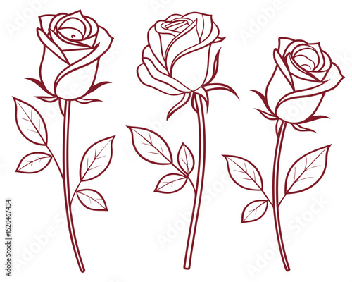 Elegant Rose Floral Sketch Set Botanical Line Art Design Element Vector