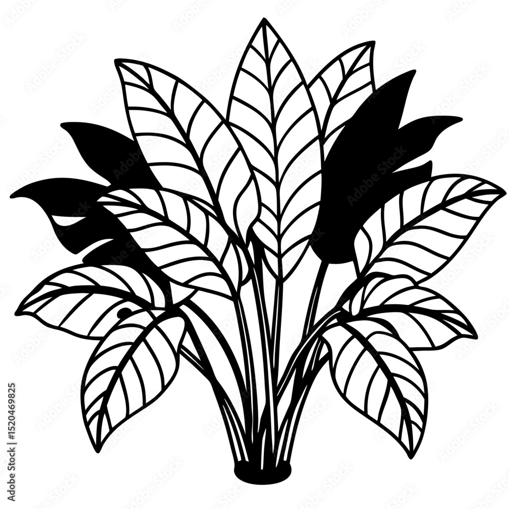 Tropical Jungle Leaves Bundle – White Background Vector Tropical Jungle Leaves Bundle – White Background Vector