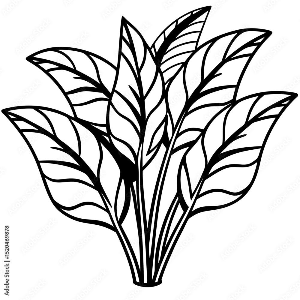 Fototapeta premium Tropical Jungle Leaves Bundle – White Background Vector