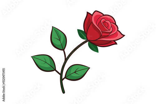 Red rose with stem vector illustration isolated on white background