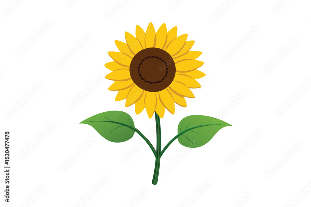Obraz premium sunflower with leaf vector illustration isolated on white background
