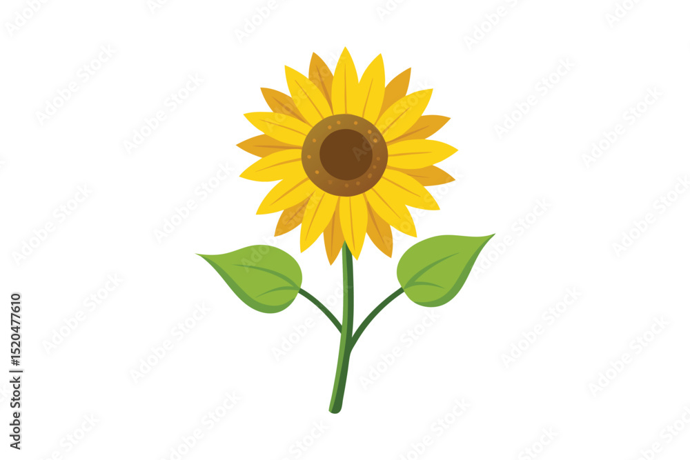 Fototapeta premium sunflower with leaf vector illustration isolated on white background