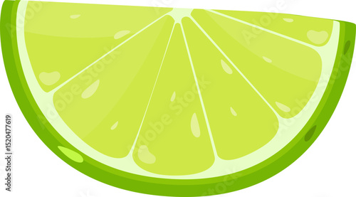 Illustration of a Lime Slice