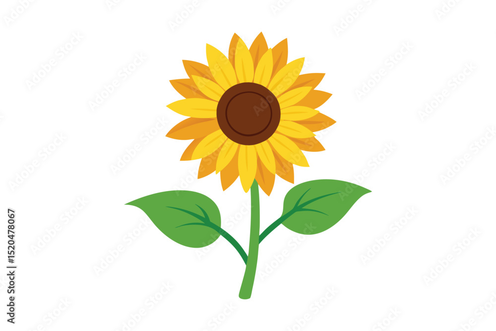 Obraz premium sunflower isolated on white background