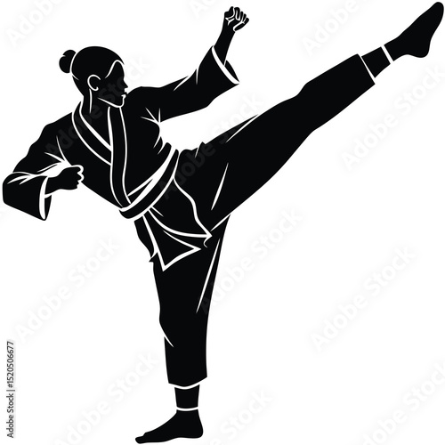 Karate practitioner demonstrating a high kick martial arts in silhouette.