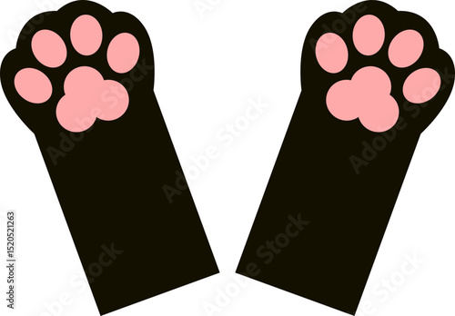 Swimming Flippers Icon
