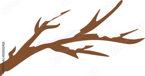 Snowy Tree Branch