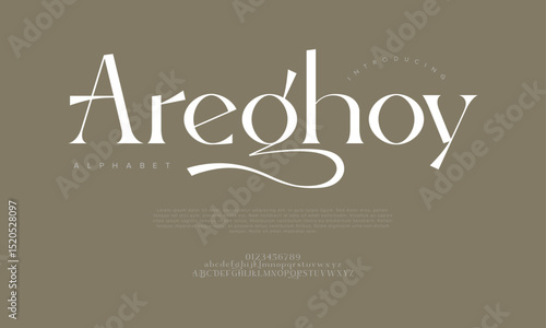 Modern elegant serif font with artistic strokes, perfect for fashion, branding, and editorial design