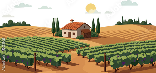 Vineyard landscape with house under sunset sun and green grapevines in countryside vector 
