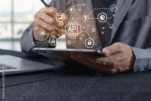 Programming Interface Development Concept with API Visualization