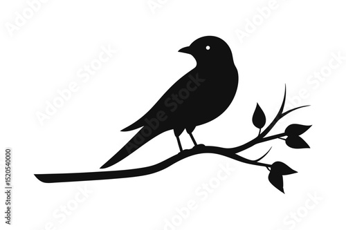 a bird silhouette vector on branch white backgrou.