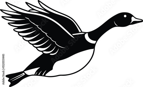 Flying Duck Silhouette Vector Illustration In White Background