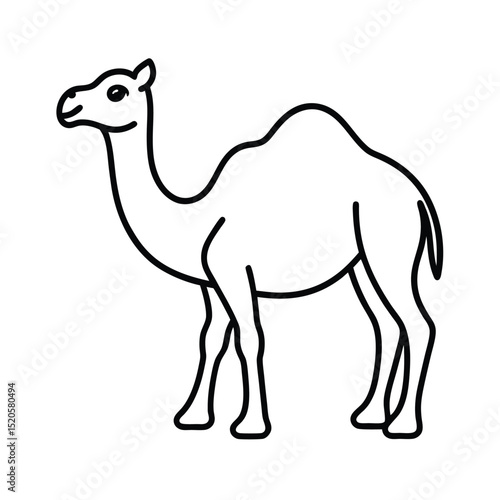 camel vector illustration