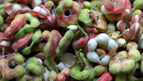 Manila tamarind , Pithecellobium dulce , Ripe Pithecellobium dulce bean, fruit concept.	