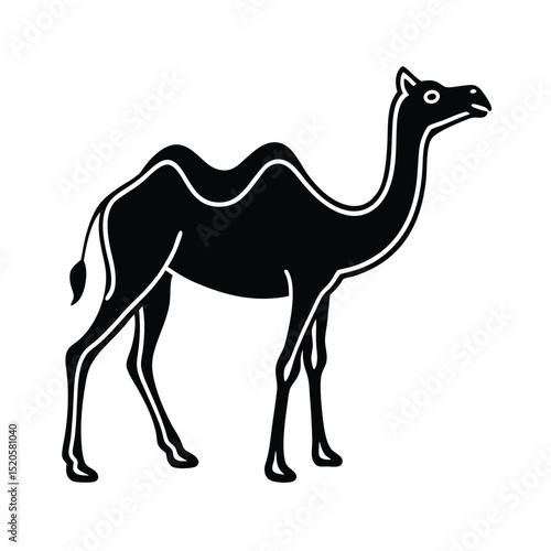 camel vector illustration