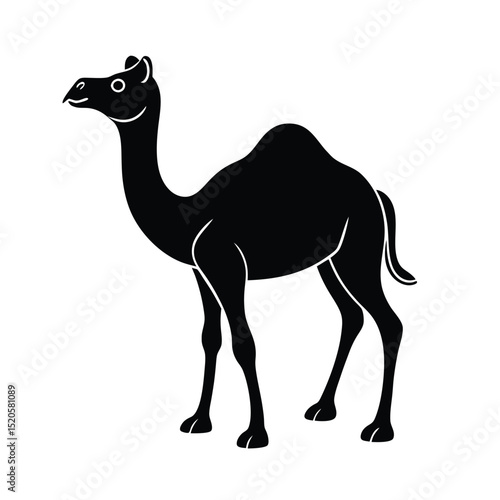 camel vector illustration