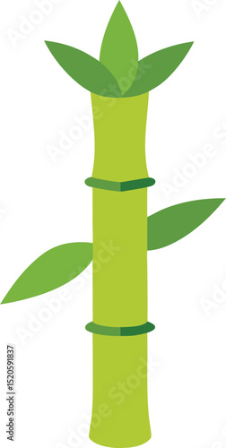 bamboo shoot vector illustration on white 