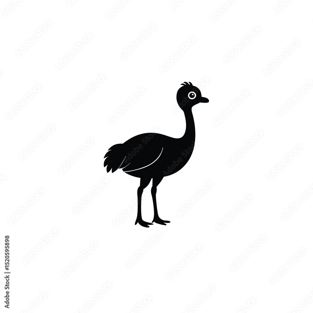 Fototapeta premium peacock isolated on white background