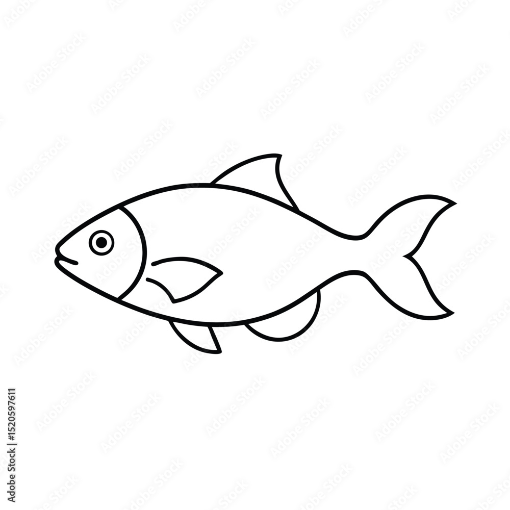 fish vector illustration fish vector illustration