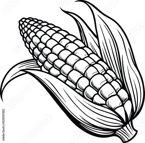 Corn Crop in Detail: A black and white depiction of a ripe corn ear, showcasing the intricate textures of its kernels and leaves, symbolizing the bounty of harvest.