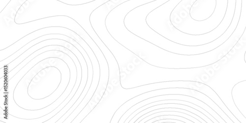 Detailed abstract topography contour background with geographic elevation curves, terrain mapping pattern, modern cartography design, land survey illustration landscape texture for decorative mapping.